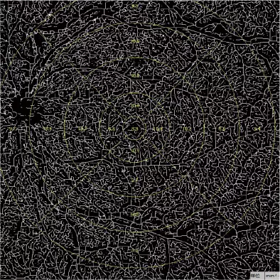 Retinal Length Density